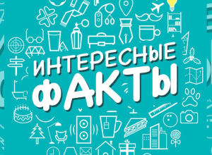 Необычные и забавные факты о Тарусе