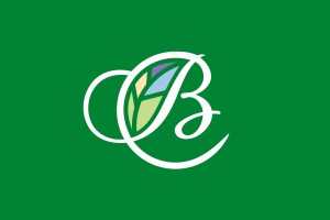 Серебряный век